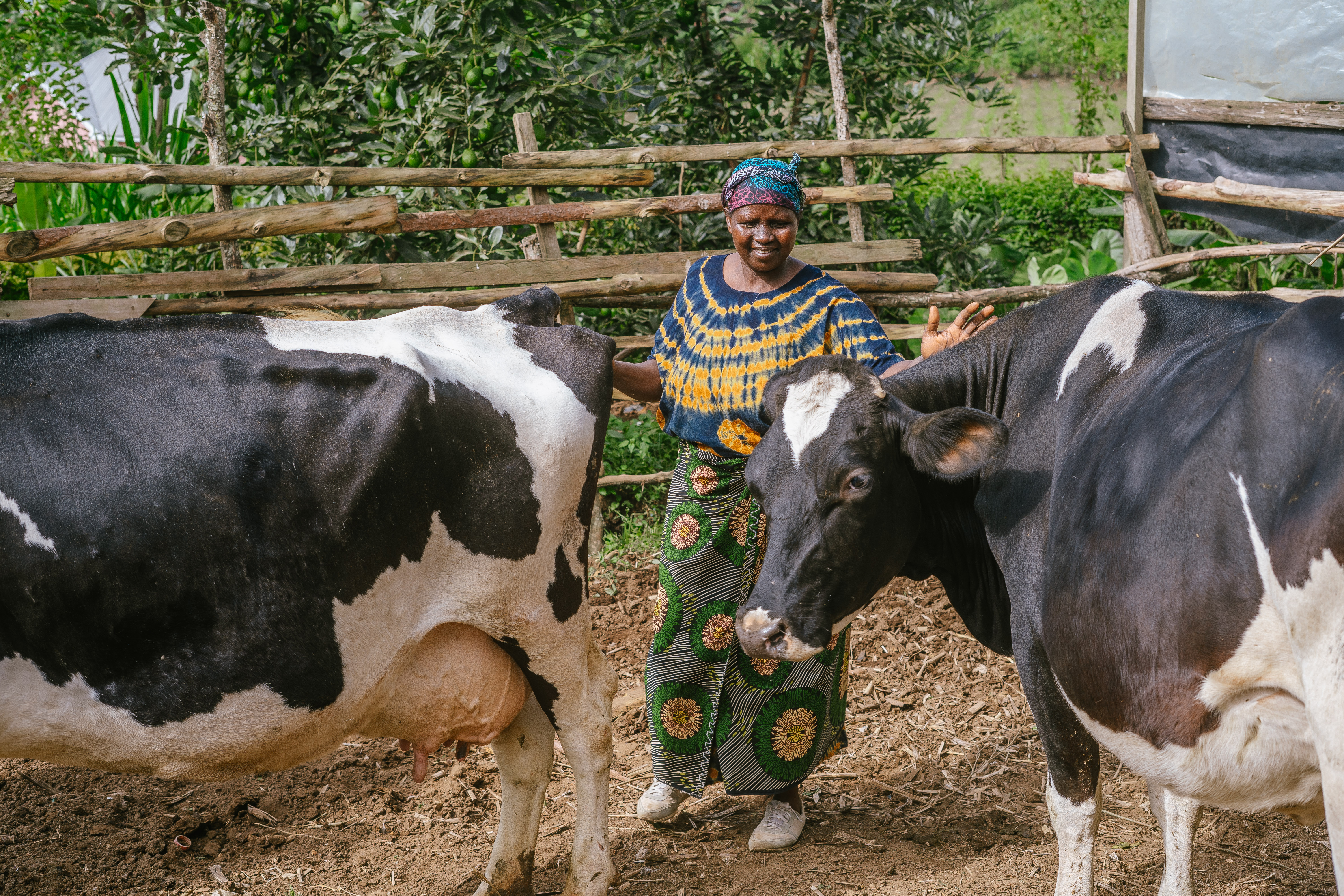 Gender – Inclusive Growth